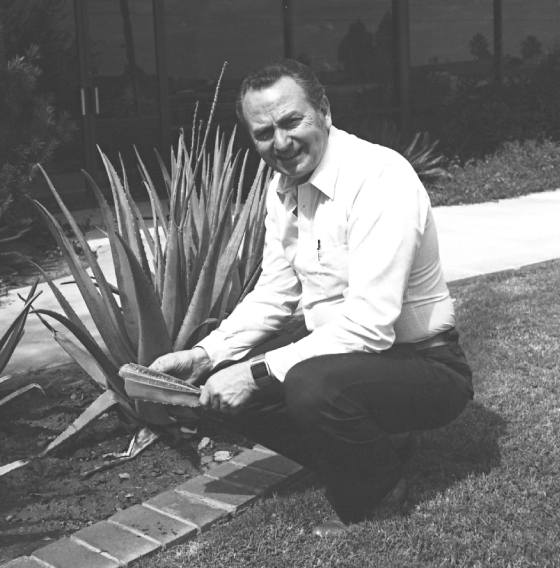 about_-_rex_-_3a_ad_560x568_1559160250932